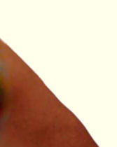 Cover image 4